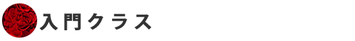 入門クラス